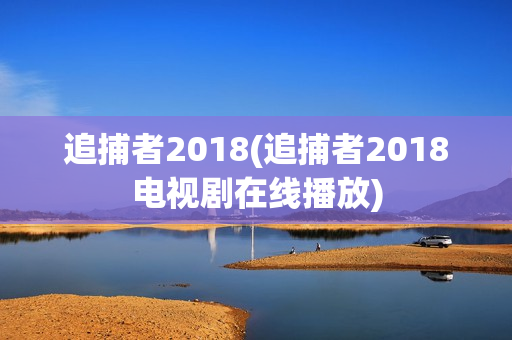 追捕者2018(追捕者2018电视剧在线播放)
