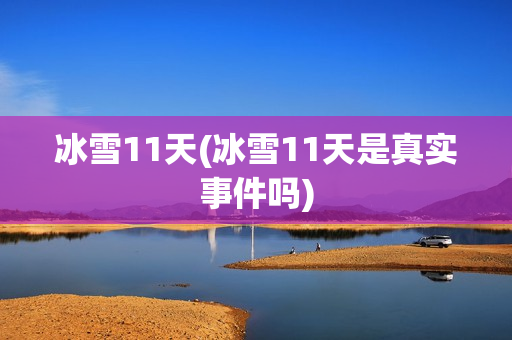 冰雪11天(冰雪11天是真实事件吗)