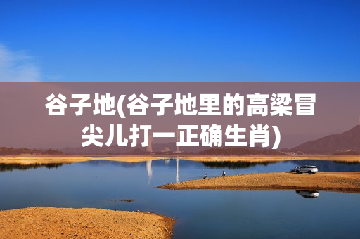 谷子地(谷子地里的高梁冒尖儿打一正确生肖)