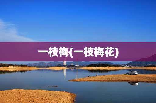 一枝梅(一枝梅花)