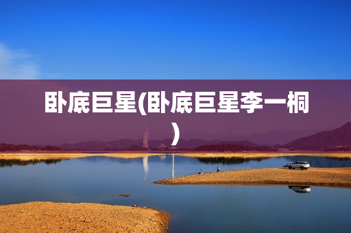 卧底巨星(卧底巨星李一桐)