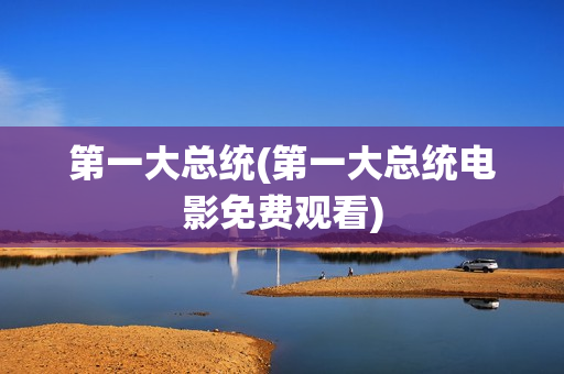 第一大总统(第一大总统电影免费观看)