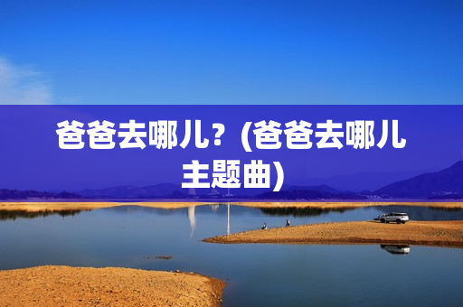 爸爸去哪儿？(爸爸去哪儿主题曲)