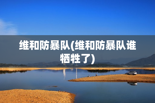 维和防暴队(维和防暴队谁牺牲了)