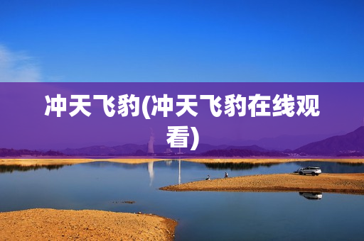 冲天飞豹(冲天飞豹在线观看)