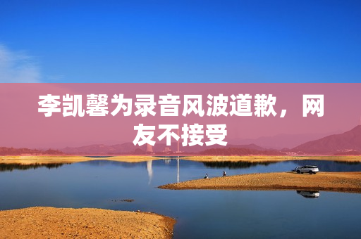 李凯馨为录音风波道歉，网友不接受