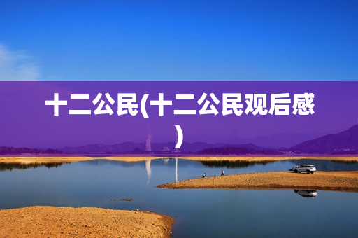 十二公民(十二公民观后感)