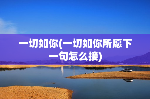 一切如你(一切如你所愿下一句怎么接)