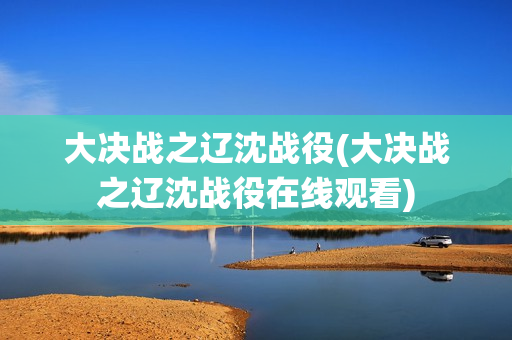 大决战之辽沈战役(大决战之辽沈战役在线观看)