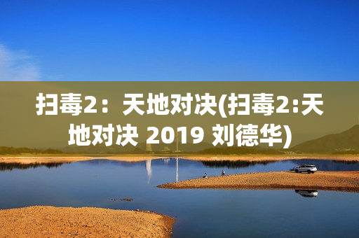 扫毒2：天地对决(扫毒2:天地对决 2019 刘德华)