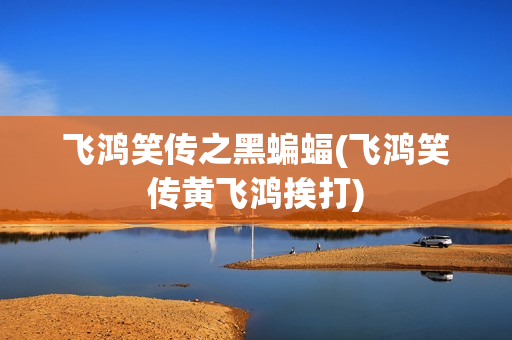 飞鸿笑传之黑蝙蝠(飞鸿笑传黄飞鸿挨打)