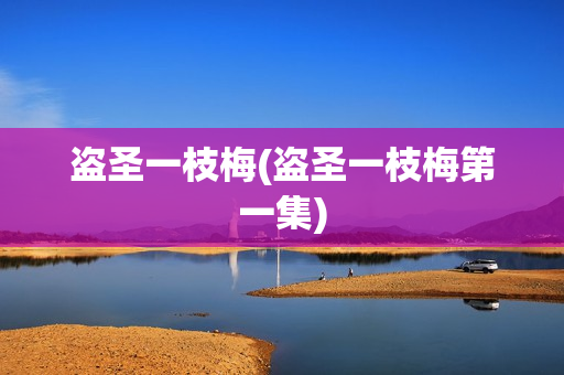 盗圣一枝梅(盗圣一枝梅第一集)