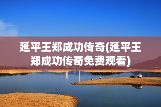 延平王郑成功传奇(延平王郑成功传奇免费观看)
