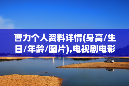 曹力个人资料详情(身高/生日/年龄/图片),电视剧电影作品