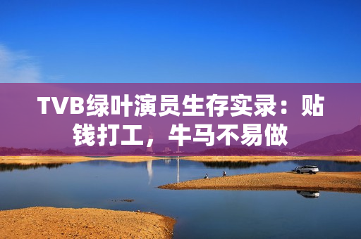 TVB绿叶演员生存实录：贴钱打工，牛马不易做