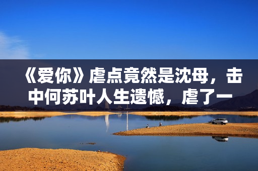 《爱你》虐点竟然是沈母，击中何苏叶人生遗憾，虐了一个大的