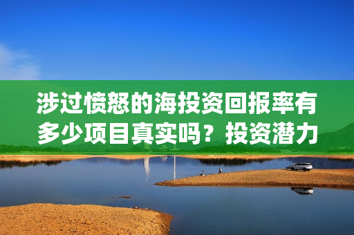涉过愤怒的海投资回报率有多少项目真实吗？投资潜力高吗？(涉过愤怒的海没过审)