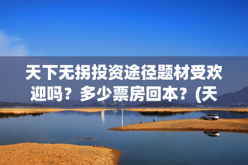 天下无拐投资途径题材受欢迎吗？多少票房回本？(天下无拐发布会)