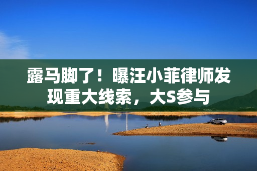 露马脚了！曝汪小菲律师发现重大线索，大S参与