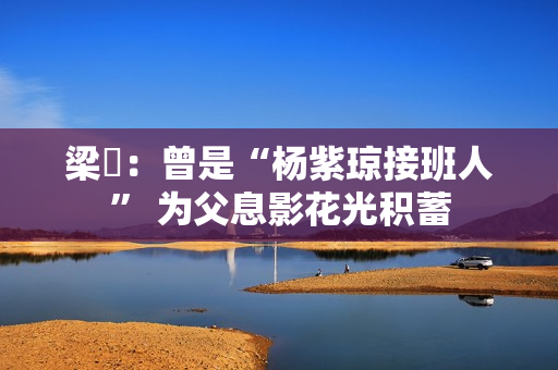 梁琤：曾是“杨紫琼接班人” 为父息影花光积蓄