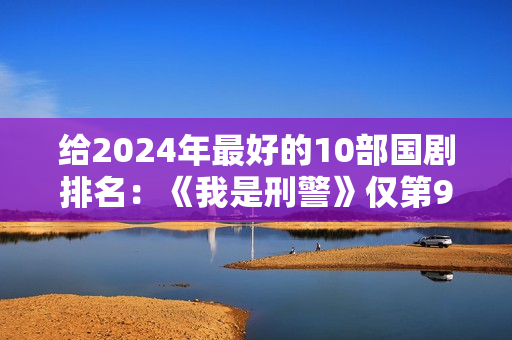 给2024年最好的10部国剧排名：《我是刑警》仅第9