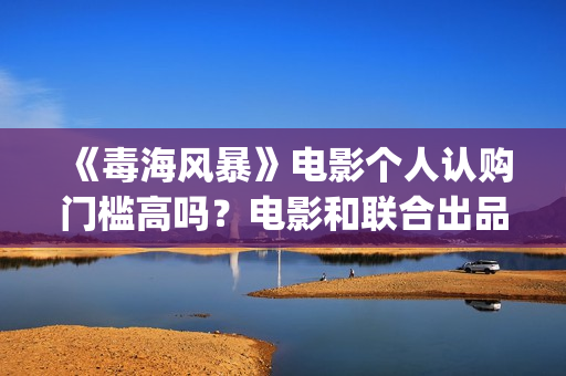 《毒海风暴》电影个人认购门槛高吗？电影和联合出品签约有风险吗？(毒海风暴上映时间)