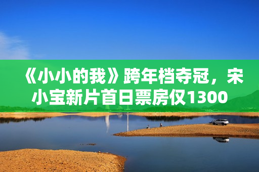 《小小的我》跨年档夺冠，宋小宝新片首日票房仅1300万，回本无望