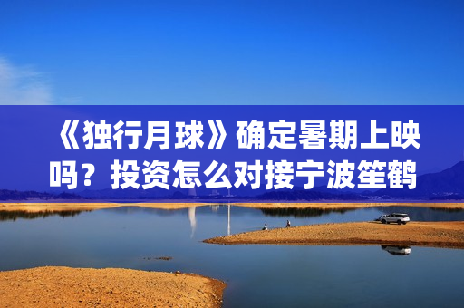 《独行月球》确定暑期上映吗？投资怎么对接宁波笙鹤？(独行月球有女主吗)