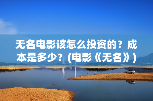 无名电影该怎么投资的？成本是多少？(电影《无名》)