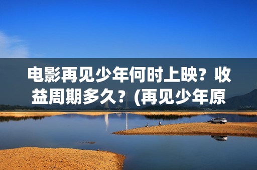 电影再见少年何时上映？收益周期多久？(再见少年原名)