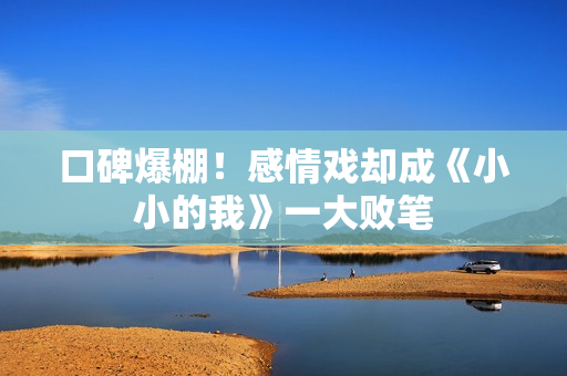 口碑爆棚！感情戏却成《小小的我》一大败笔