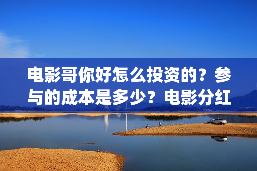 电影哥你好怎么投资的？参与的成本是多少？电影分红快吗？(你好哥哥语音)