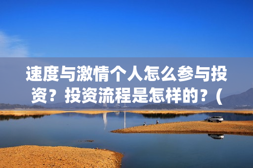 速度与激情个人怎么参与投资？投资流程是怎样的？(速度与激情人员简介)
