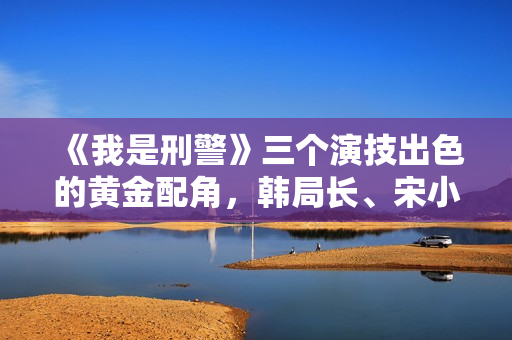《我是刑警》三个演技出色的黄金配角，韩局长、宋小军、白玲