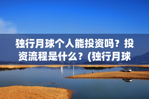 独行月球个人能投资吗？投资流程是什么？(独行月球结局什么意思)