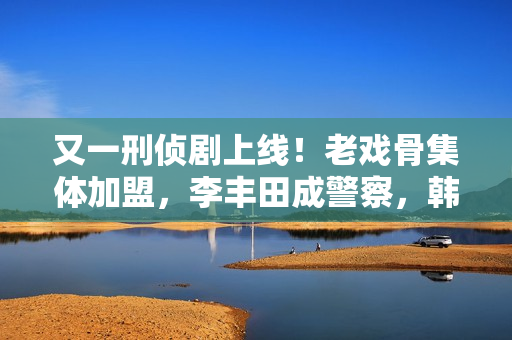 又一刑侦剧上线！老戏骨集体加盟，李丰田成警察，韩雪或成败笔？