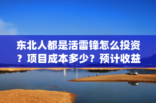 东北人都是活雷锋怎么投资？项目成本多少？预计收益多少？(东北人都是活雷锋 mv)