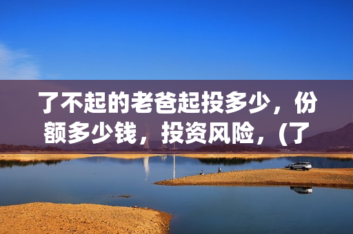 了不起的老爸起投多少，份额多少钱，投资风险，(了不起的老爸主要演员)