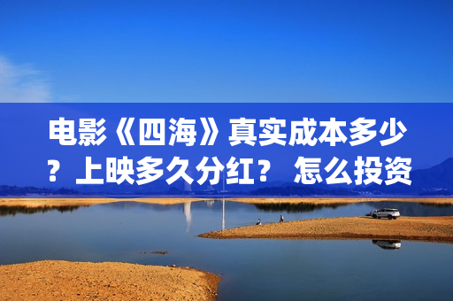 电影《四海》真实成本多少？上映多久分红？ 怎么投资？(电影《四海》真名叫什么)