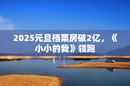 2025元旦档票房破2亿，《小小的我》领跑