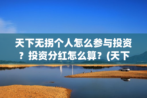 天下无拐个人怎么参与投资？投资分红怎么算？(天下无拐赞助商)