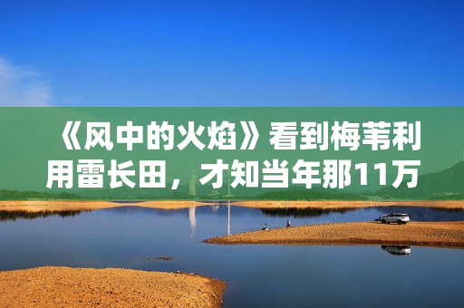 《风中的火焰》看到梅苇利用雷长田,才知当年那11万到底被谁拿走 《风中的火焰》看到梅苇利用雷长田,才知当年那11万到底被谁拿走