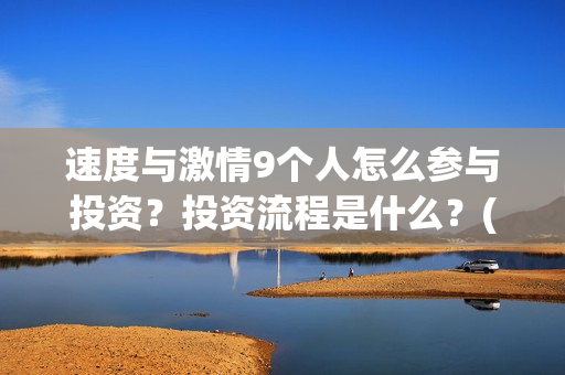 速度与激情9个人怎么参与投资？投资流程是什么？(速度与激情q)