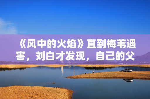 《风中的火焰》直到梅苇遇害，刘白才发现，自己的父亲还活着