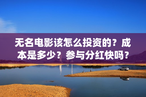 无名电影该怎么投资的？成本是多少？参与分红快吗？(电影《无名》)