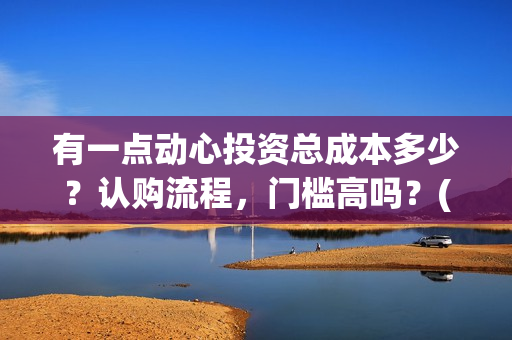 有一点动心投资总成本多少？认购流程，门槛高吗？(有一点动心出品方)