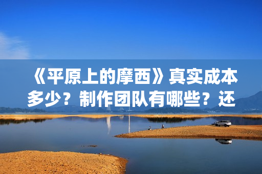 《平原上的摩西》真实成本多少？制作团队有哪些？还有份额吗？(平原上的摩西分集剧情介绍)