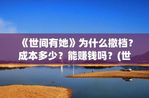 《世间有她》为什么撤档？成本多少？能赚钱吗？(世间有她女主角)