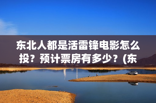 东北人都是活雷锋电影怎么投？预计票房有多少？(东北人都是活雷锋动画版)