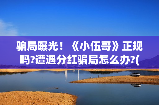 骗局曝光！《小伍哥》正规吗?遭遇分红骗局怎么办?(小型骗局)